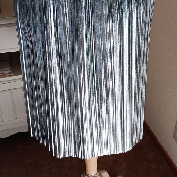 Project Runway Sivery Knife Pleated Skirt - Picture 4 of 9